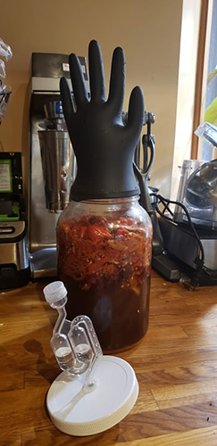 Ferment